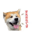 すえきち（個別スタンプ：5）