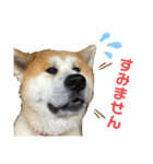 すえきち（個別スタンプ：7）