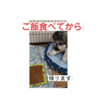 シュナウザーごま 敬語（個別スタンプ：29）