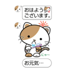 ねこのにゃんBIGスタンプ（個別スタンプ：1）