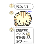 ねこのにゃんBIGスタンプ（個別スタンプ：6）