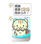 ねこのにゃんBIGスタンプ（個別スタンプ：16）