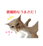 ネコ団欒3（個別スタンプ：12）
