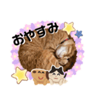 Ginger Tabby Cat Brothers 9（個別スタンプ：4）