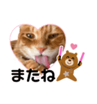 Ginger Tabby Cat Brothers 9（個別スタンプ：7）