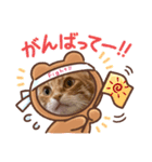 Ginger Tabby Cat Brothers 9（個別スタンプ：16）