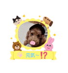 coco 2020.8（個別スタンプ：2）