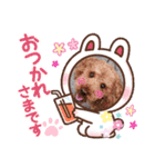coco 2020.8（個別スタンプ：3）