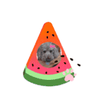 coco 2020.8（個別スタンプ：4）