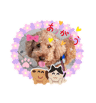 coco 2020.8（個別スタンプ：5）