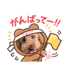 coco 2020.8（個別スタンプ：6）