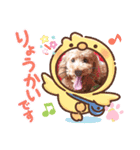 coco 2020.8（個別スタンプ：9）