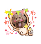 coco 2020.8（個別スタンプ：10）