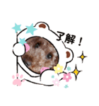 coco 2020.8（個別スタンプ：12）