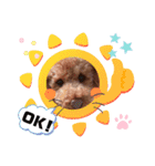 coco 2020.8（個別スタンプ：13）