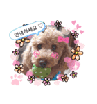 coco 2020.8（個別スタンプ：14）
