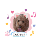 coco 2020.8（個別スタンプ：15）