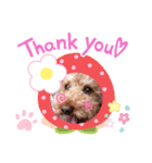 coco 2020.8（個別スタンプ：16）
