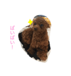 ワンの1日（個別スタンプ：2）
