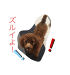 ワンの1日（個別スタンプ：3）