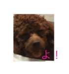 ワンの1日（個別スタンプ：5）