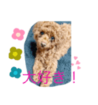 ワンの1日（個別スタンプ：7）