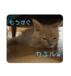 きなこ日記☆（個別スタンプ：9）