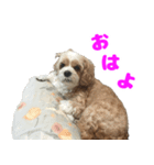 ナッツ＆ローズ（個別スタンプ：1）