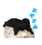 ナッツ＆ローズ（個別スタンプ：2）