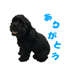 ナッツ＆ローズ（個別スタンプ：4）