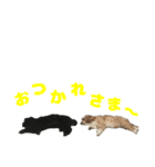 ナッツ＆ローズ（個別スタンプ：8）