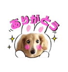 あいちゃん by晩ママ（個別スタンプ：1）