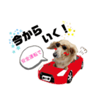 あいちゃん by晩ママ（個別スタンプ：3）