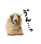 あいちゃん by晩ママ（個別スタンプ：8）