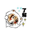 あいちゃん by晩ママ（個別スタンプ：9）