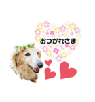 あいちゃん by晩ママ（個別スタンプ：12）