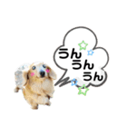 あいちゃん by晩ママ（個別スタンプ：15）
