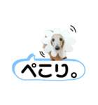 あいちゃん by晩ママ（個別スタンプ：16）