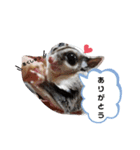 フクロモモンガほっぺちゃん2（個別スタンプ：2）