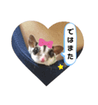 フクロモモンガほっぺちゃん2（個別スタンプ：6）