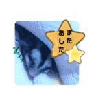 フクロモモンガほっぺちゃん2（個別スタンプ：7）