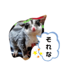 フクロモモンガほっぺちゃん2（個別スタンプ：8）