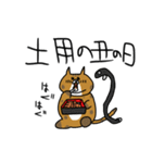 でぶ猫 でぶーにゃん（夏）（個別スタンプ：10）