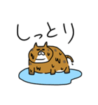 でぶ猫 でぶーにゃん（夏）（個別スタンプ：13）