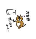 でぶ猫 でぶーにゃん（夏）（個別スタンプ：17）