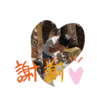 孫達2（個別スタンプ：4）