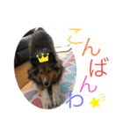 シェリぽんと愉快な仲間たち4(シェリー編)（個別スタンプ：4）
