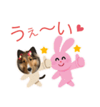 シェリぽんと愉快な仲間たち4(シェリー編)（個別スタンプ：11）