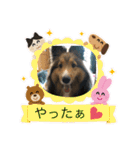 シェリぽんと愉快な仲間たち4(シェリー編)（個別スタンプ：14）