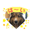 シェリぽんと愉快な仲間たち4(シェリー編)（個別スタンプ：23）